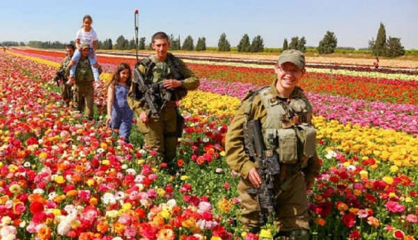 Flowers-in-the-Desert-1140x500