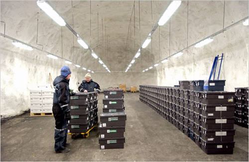 global-seed-vault